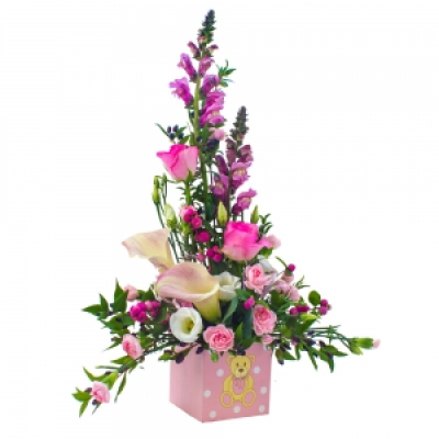 Baby Girl Arrangement - There's a new baby girl and you wish to celebrate the occasion! An arrangement in a petite container in pinks and creams.
