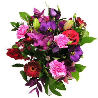 Exciting And Vibrant - Stunning fresh cut flowers in pinks and purples (vibrant).
